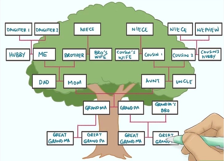 How to Draw Your Own Family Tree post thumbnail image